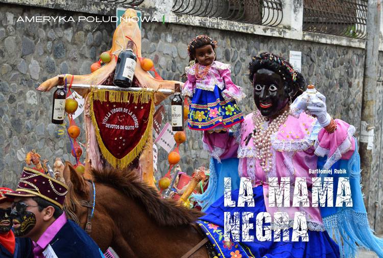 Losowy darmowy artykuł